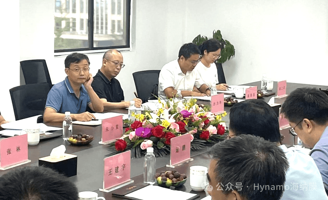 大雁03.png 大雁03.png